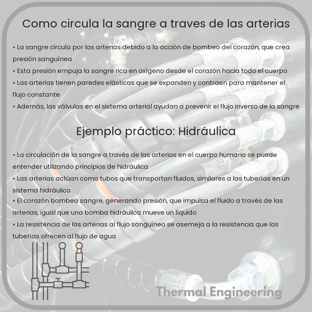 ¿Cómo Circula la Sangre a Través de las Arterias?