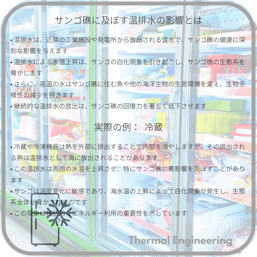 サンゴ礁に及ぼす温排水の影響とは