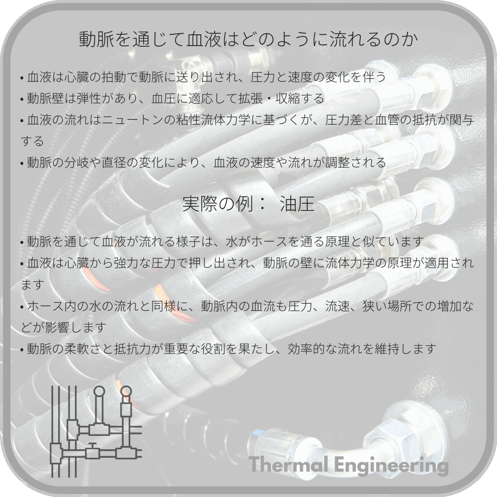 動脈を通じて血液はどのように流れるのか