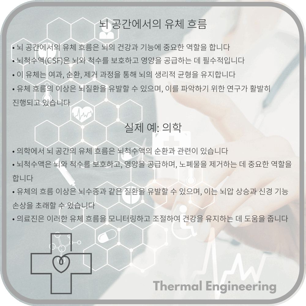 뇌 공간에서의 유체 흐름
