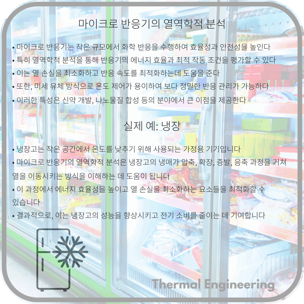 마이크로 반응기의 열역학적 분석