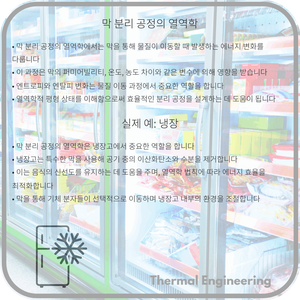 막 분리 공정의 열역학