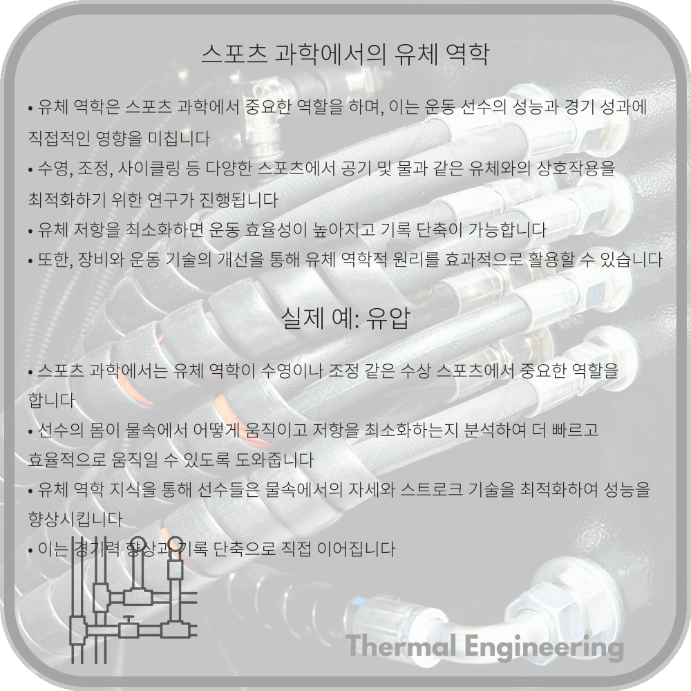 스포츠 과학에서의 유체 역학