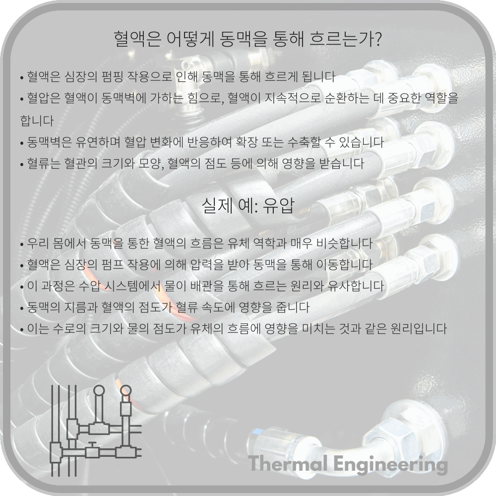 혈액은 어떻게 동맥을 통해 흐르는가?