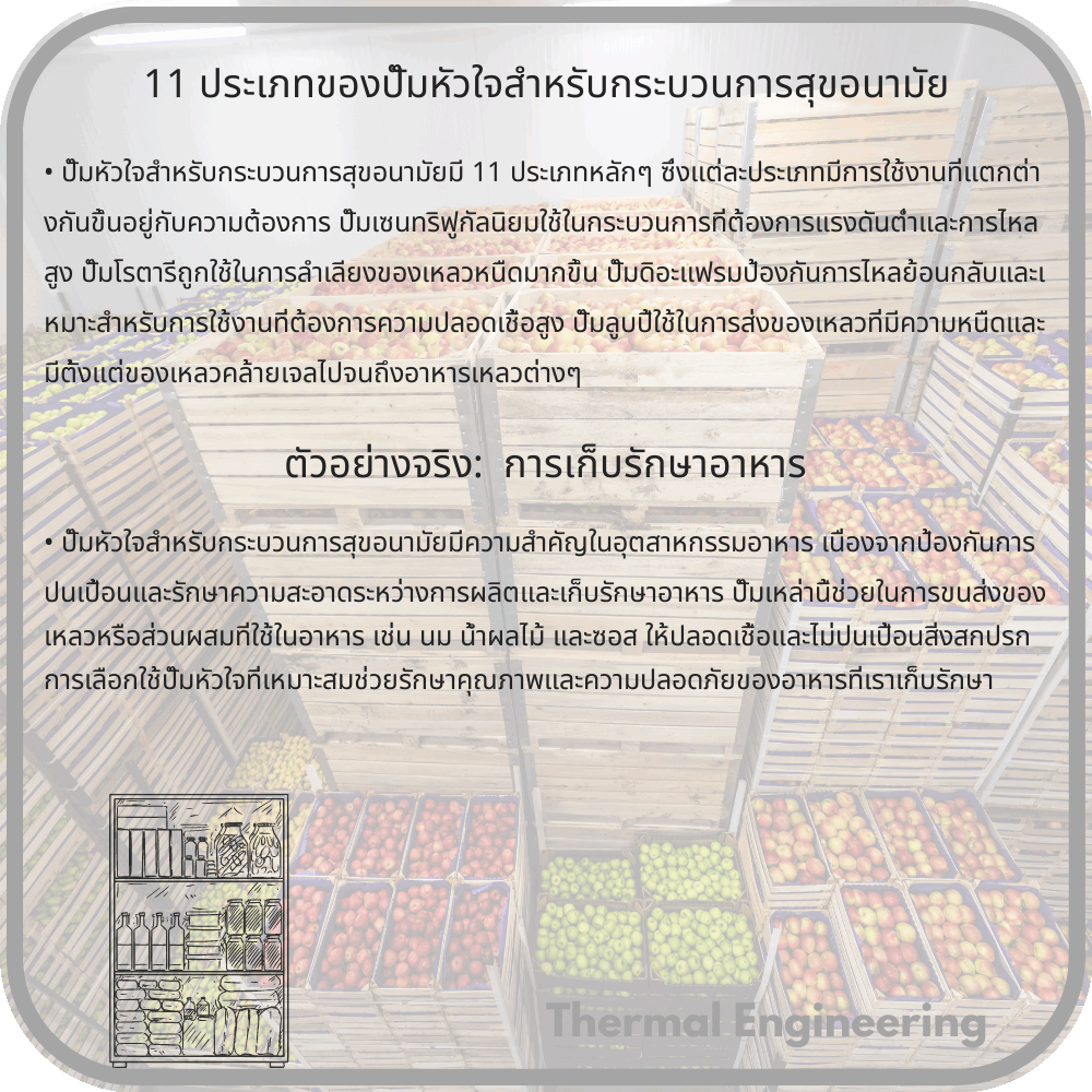 11 ประเภทของปั๊มหัวใจสำหรับกระบวนการสุขอนามัย