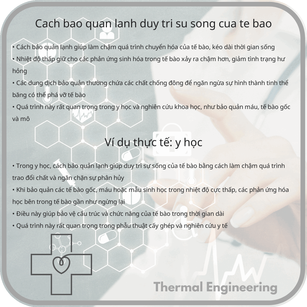 Cách bảo quản lạnh duy trì sự sống của tế bào