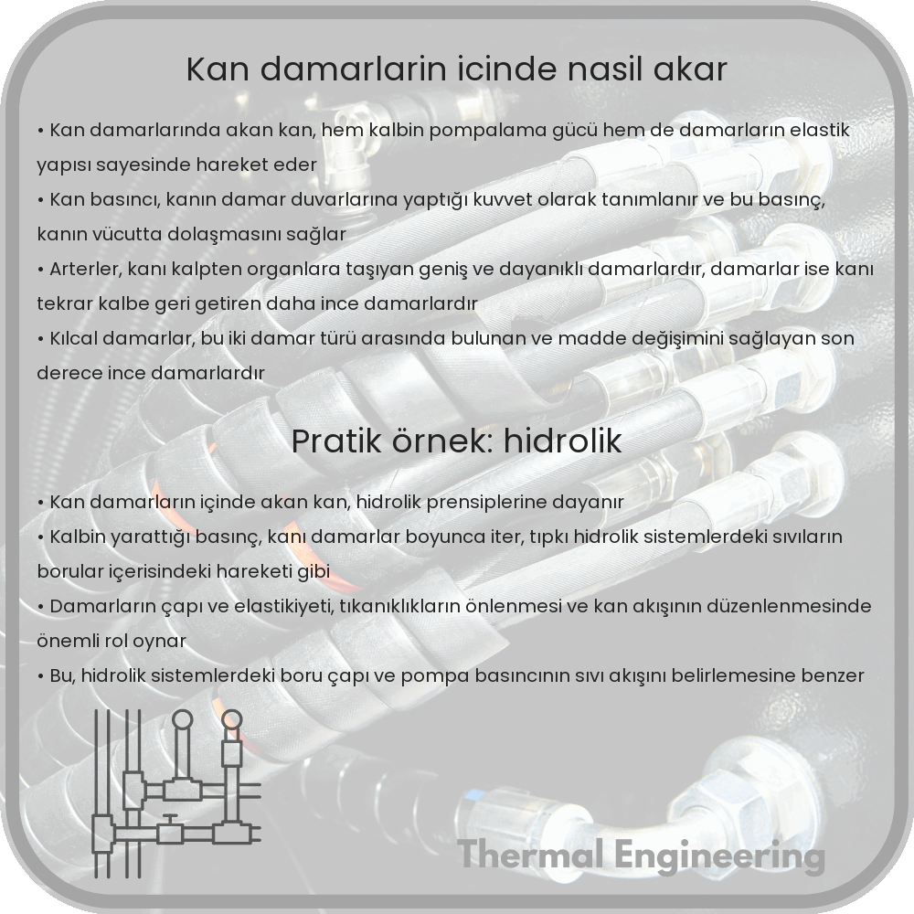 Kan Damarların İçinde Nasıl Akar?