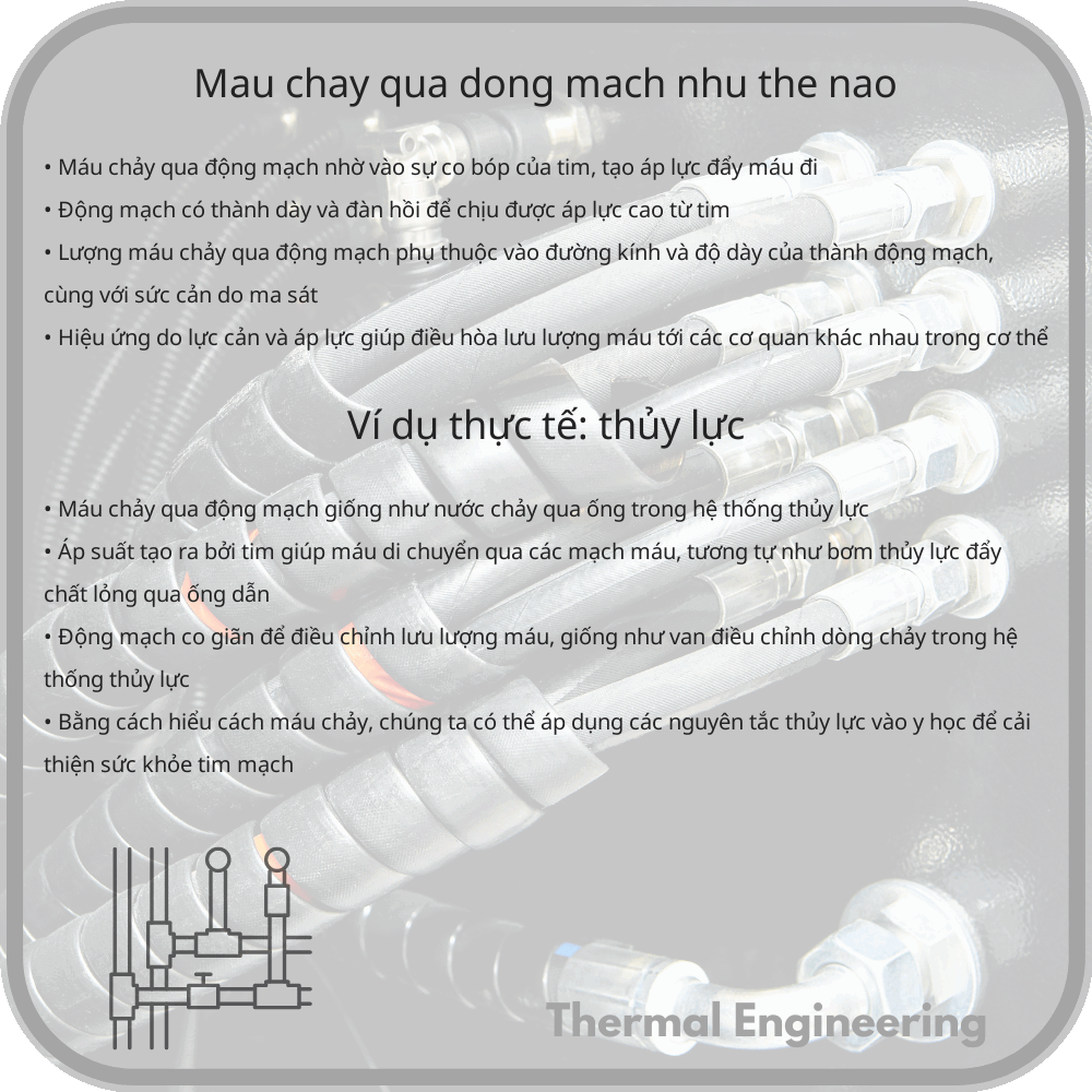 Máu Chảy Qua Động Mạch Như Thế Nào?