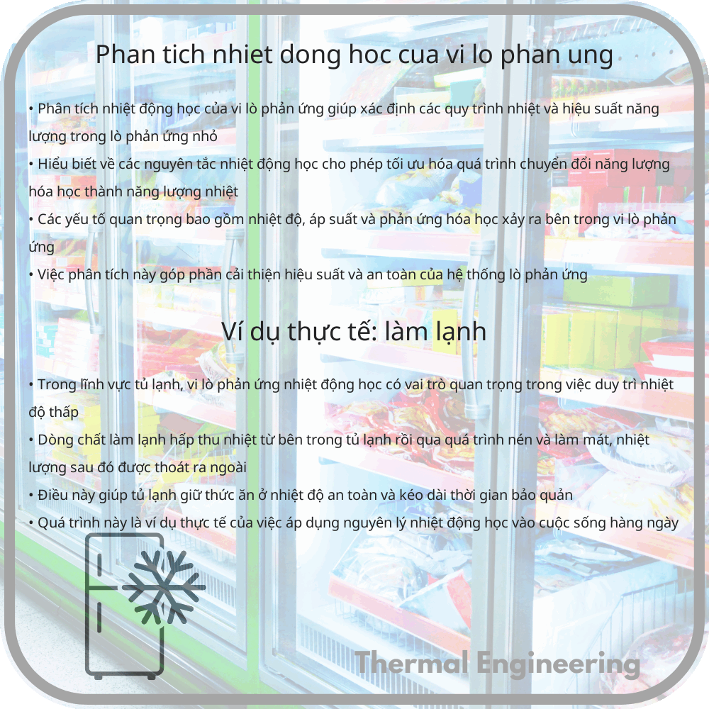 Phân Tích Nhiệt Động Học Của Vi Lò Phản Ứng