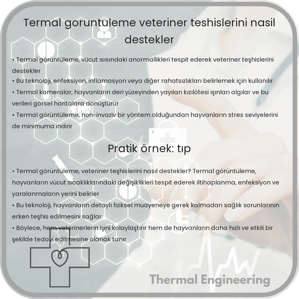 Termal Görüntüleme Veteriner Teşhislerini Nasıl Destekler