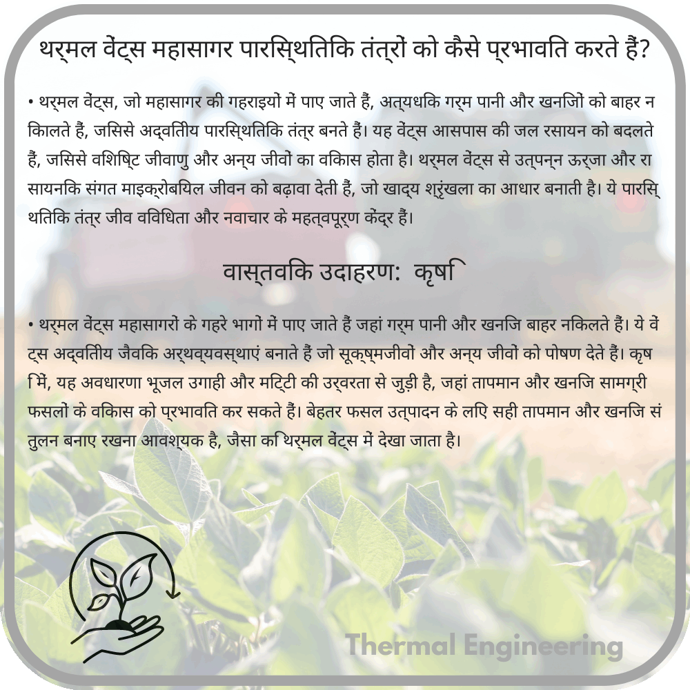 थर्मल वेंट्स महासागर पारिस्थितिक तंत्रों को कैसे प्रभावित करते हैं?