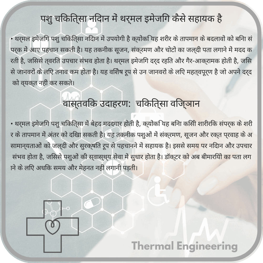 पशु चिकित्सा निदान में थर्मल इमेजिंग कैसे सहायक है