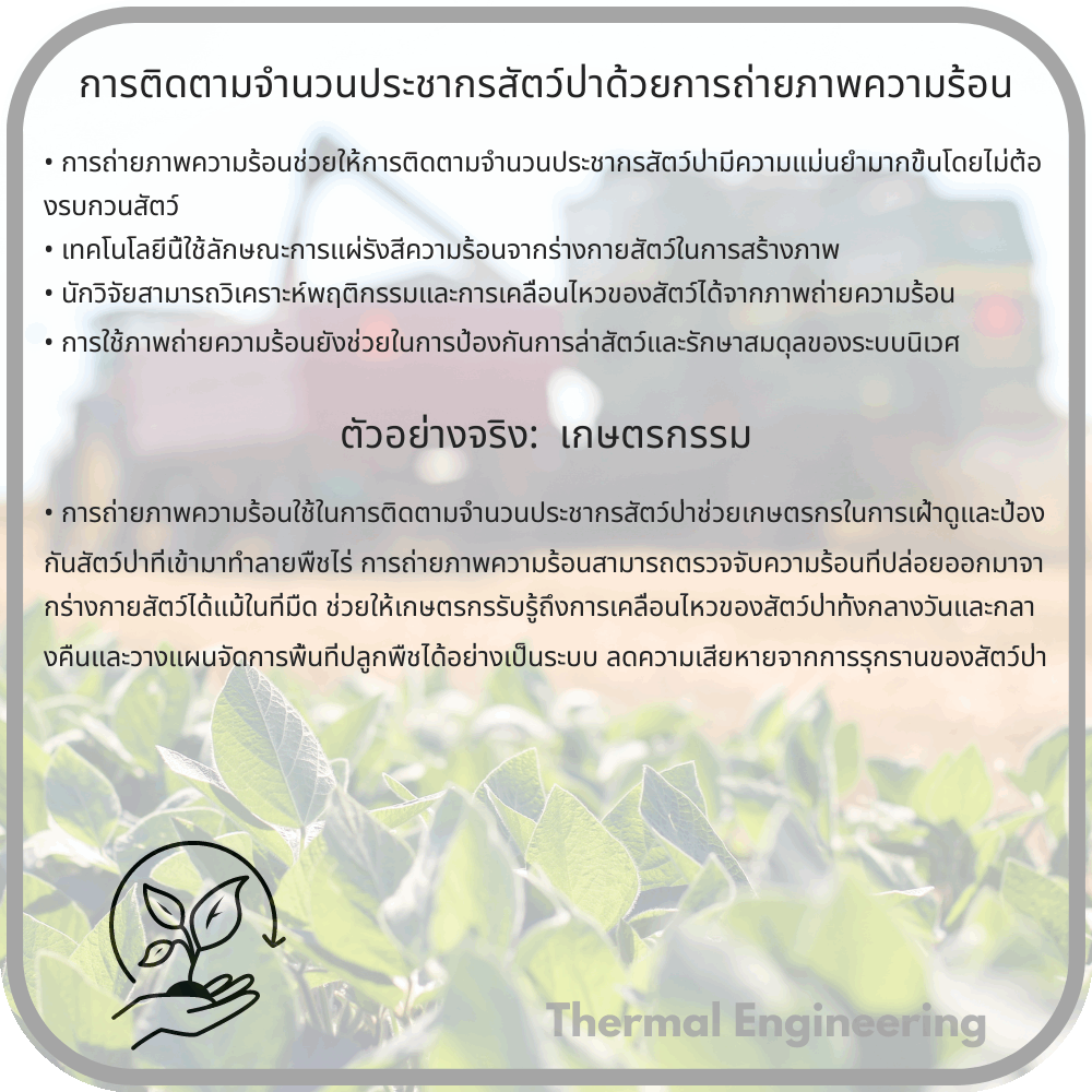 การติดตามจำนวนประชากรสัตว์ป่าด้วยการถ่ายภาพความร้อน
