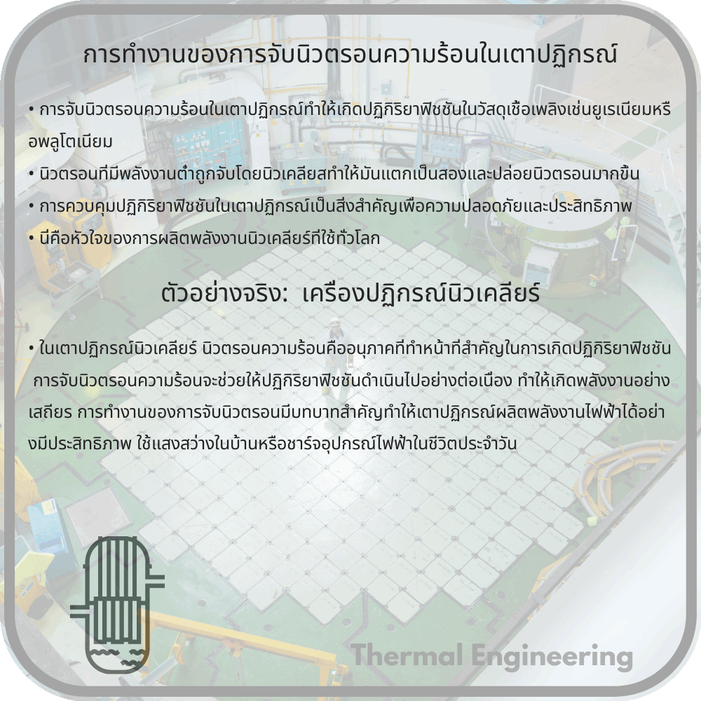 การทำงานของการจับนิวตรอนความร้อนในเตาปฏิกรณ์