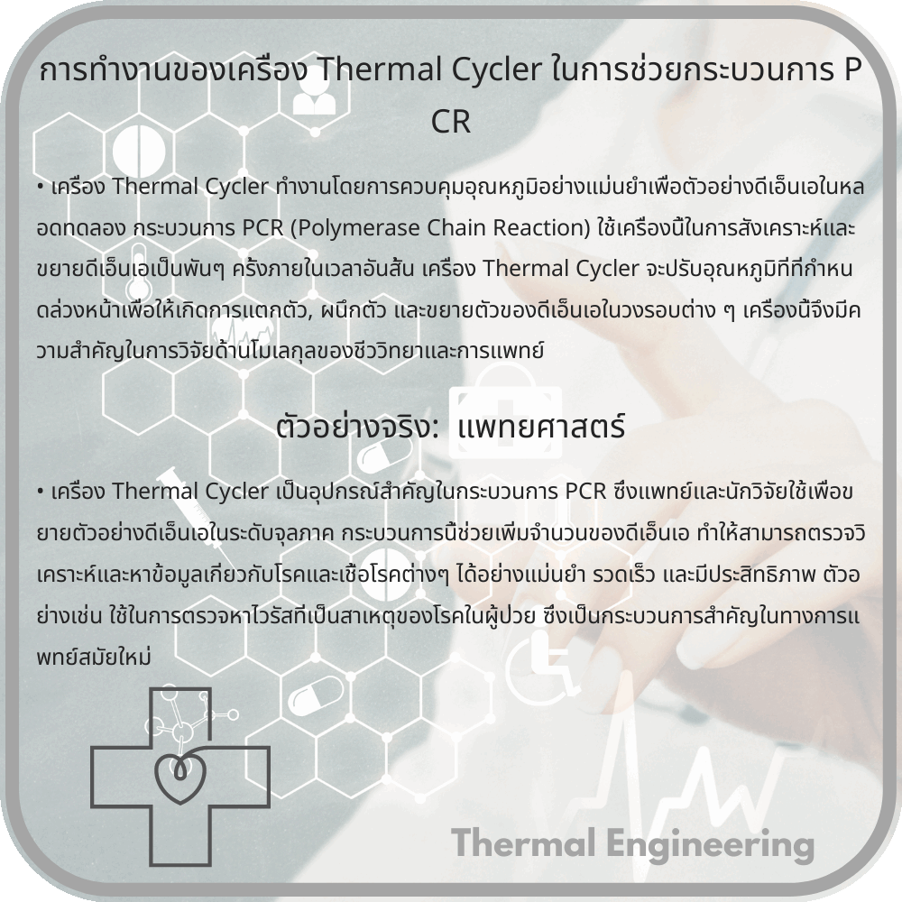 การทำงานของเครื่อง Thermal Cycler ในการช่วยกระบวนการ PCR