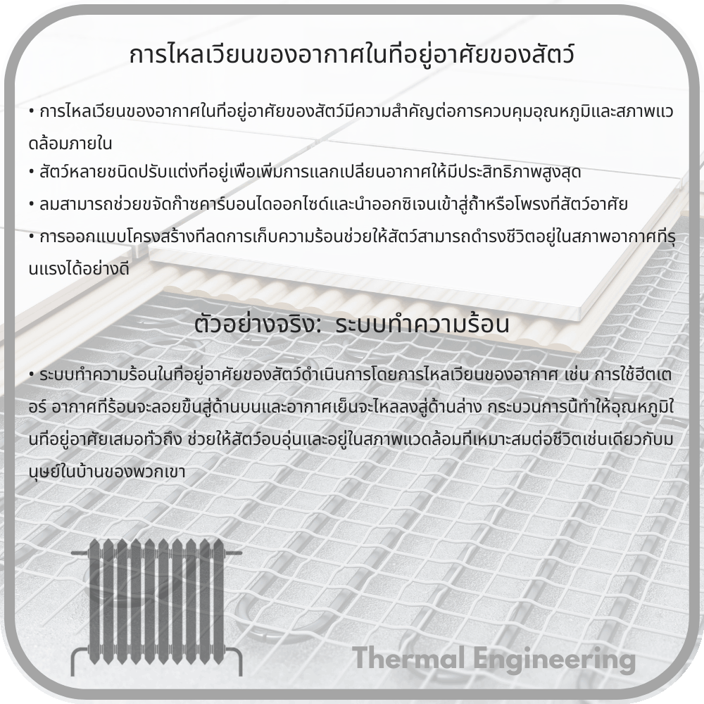 การไหลเวียนของอากาศในที่อยู่อาศัยของสัตว์