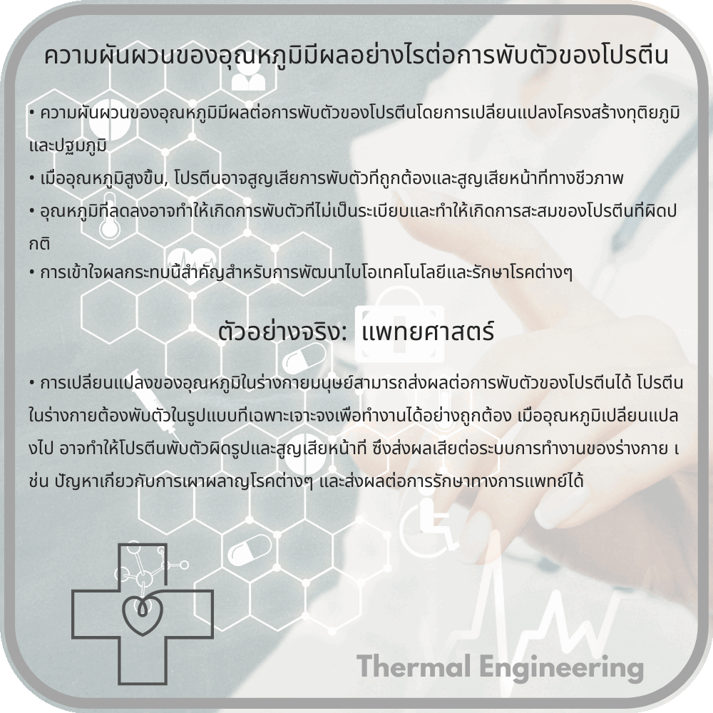ความผันผวนของอุณหภูมิมีผลอย่างไรต่อการพับตัวของโปรตีน