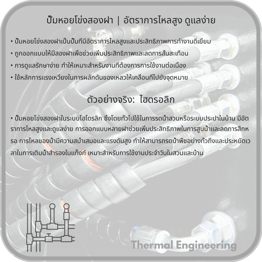 ปั๊มหอยโข่งสองฝา | อัตราการไหลสูง ดูแลง่าย