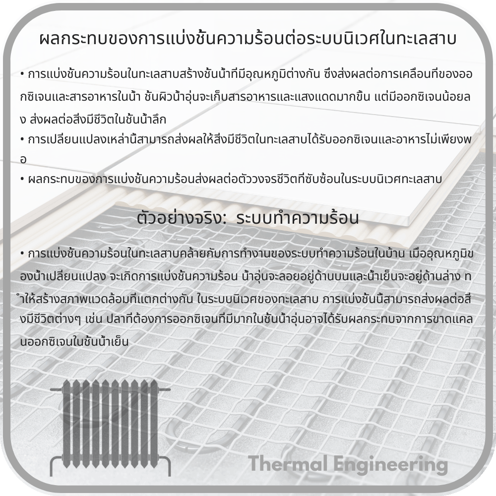 ผลกระทบของการแบ่งชั้นความร้อนต่อระบบนิเวศในทะเลสาบ