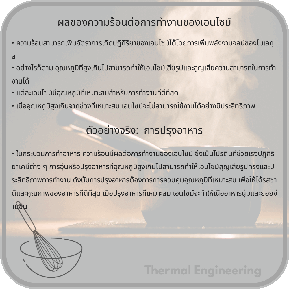 ผลของความร้อนต่อการทำงานของเอนไซม์