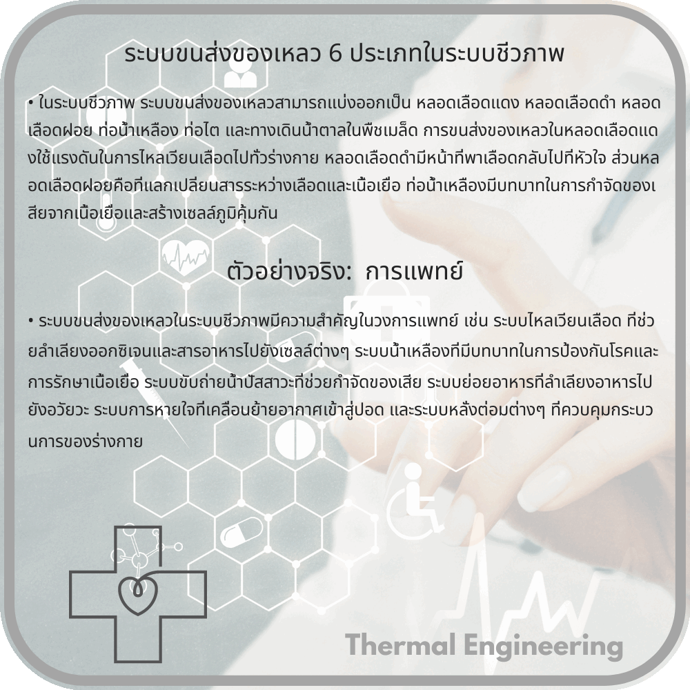 ระบบขนส่งของเหลว 6 ประเภทในระบบชีวภาพ