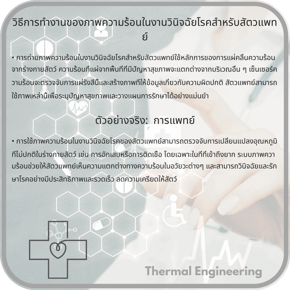 วิธีการทำงานของภาพความร้อนในงานวินิจฉัยโรคสำหรับสัตวแพทย์