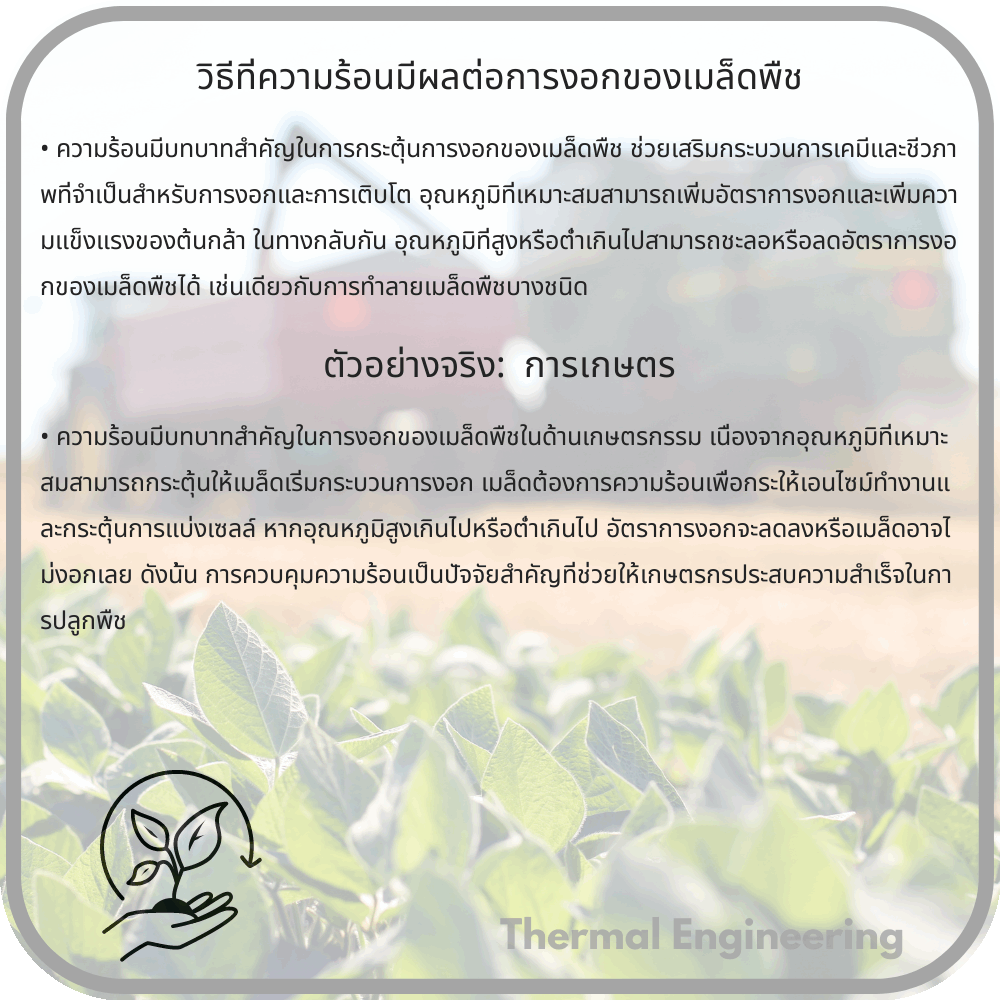 วิธีที่ความร้อนมีผลต่อการงอกของเมล็ดพืช