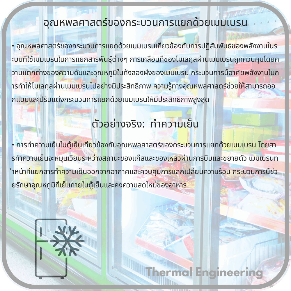 อุณหพลศาสตร์ของกระบวนการแยกด้วยเมมเบรน