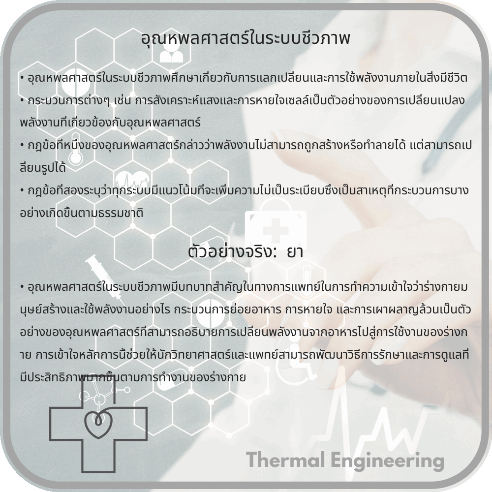 อุณหพลศาสตร์ในระบบชีวภาพ