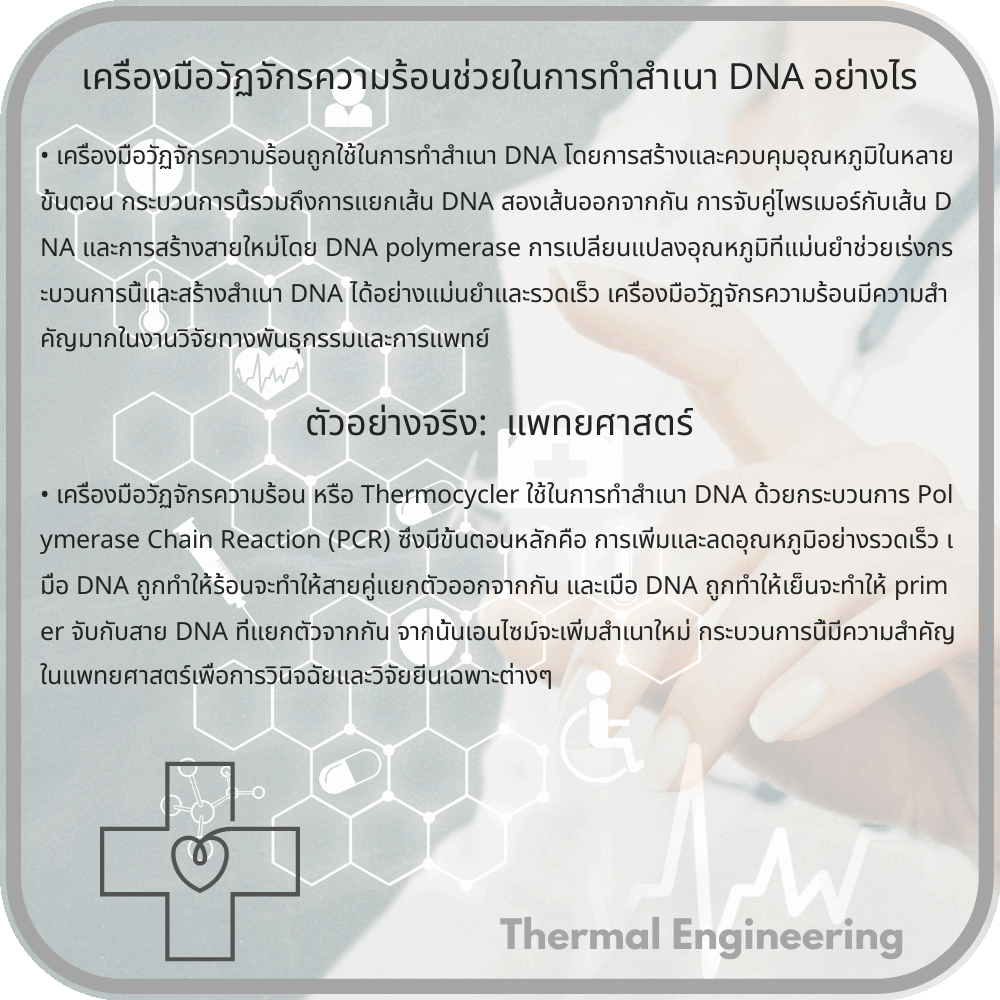 เครื่องมือวัฏจักรความร้อนช่วยในการทำสำเนา DNA อย่างไร