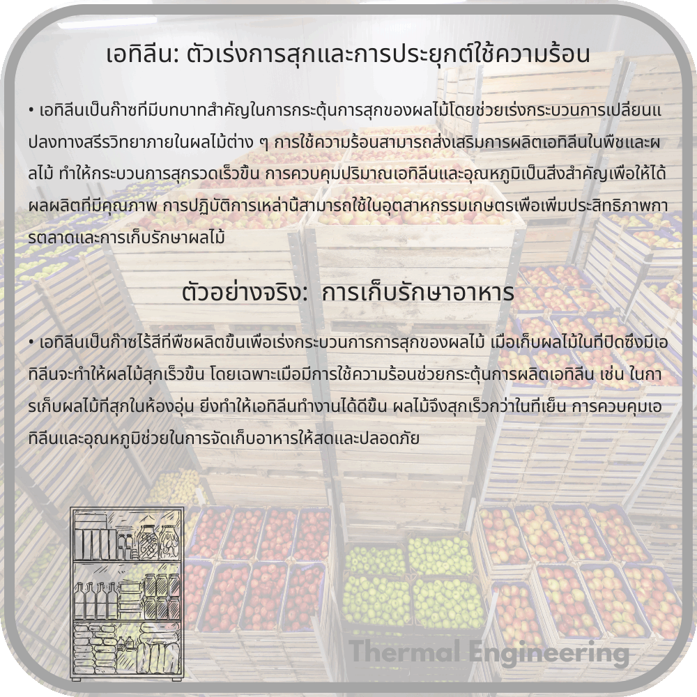 เอทิลีน: ตัวเร่งการสุกและการประยุกต์ใช้ความร้อน