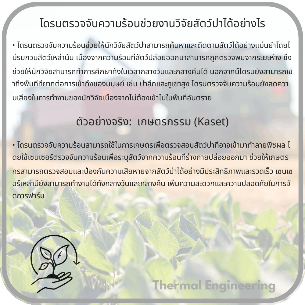 โดรนตรวจจับความร้อนช่วยงานวิจัยสัตว์ป่าได้อย่างไร