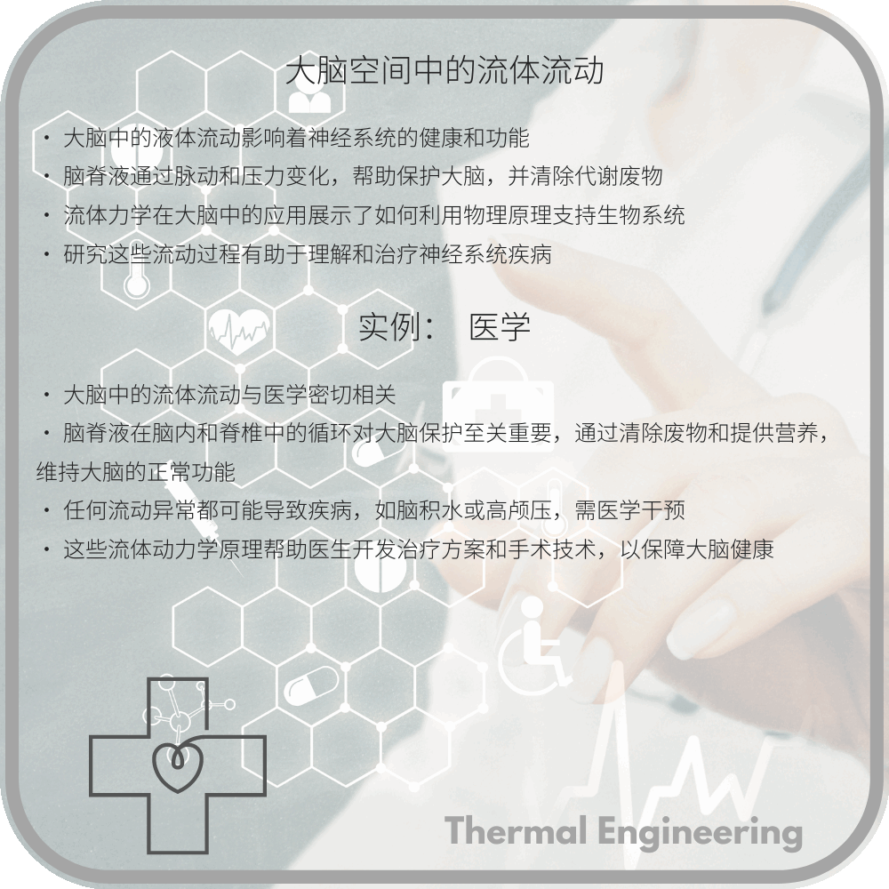 大脑空间中的流体流动