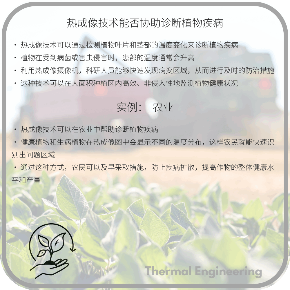 热成像技术能否协助诊断植物疾病