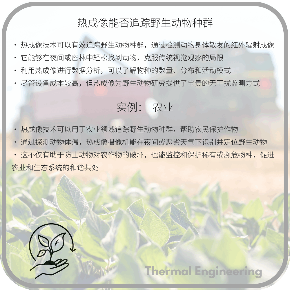 热成像能否追踪野生动物种群