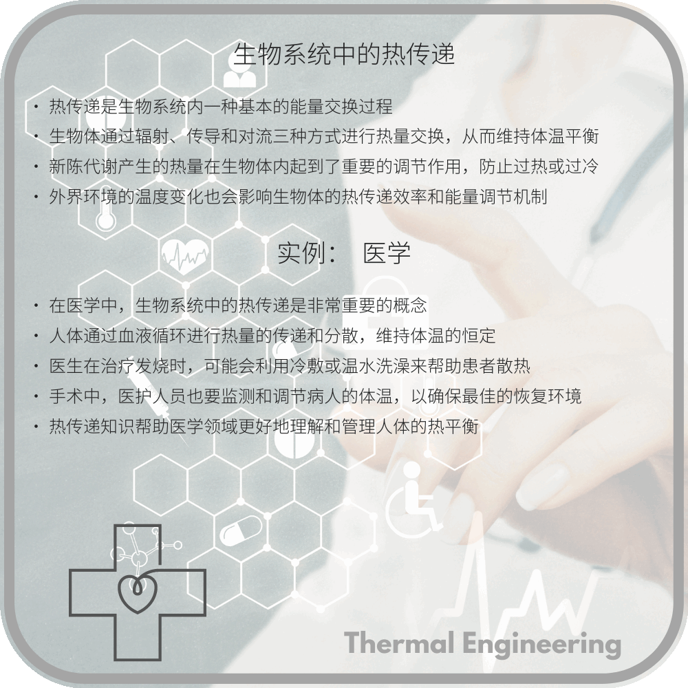 生物系统中的热传递