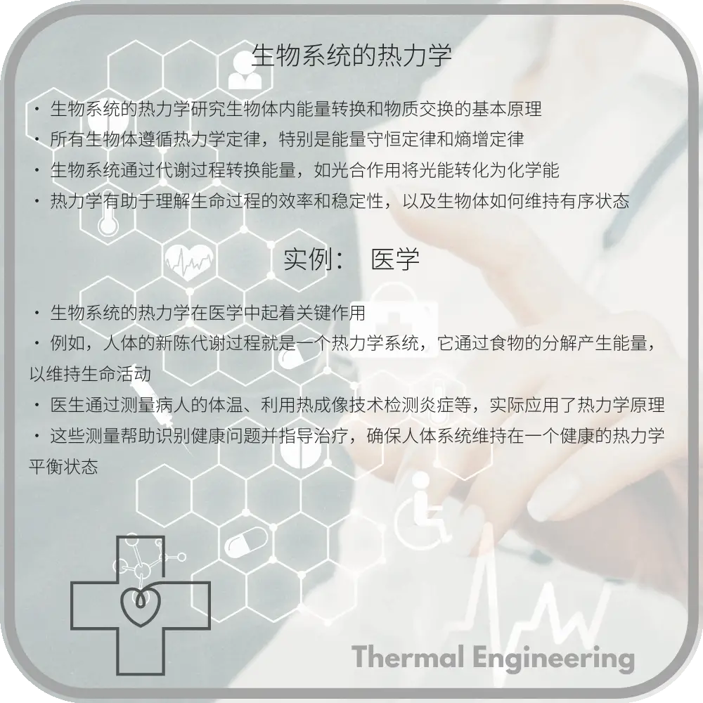 生物系统的热力学