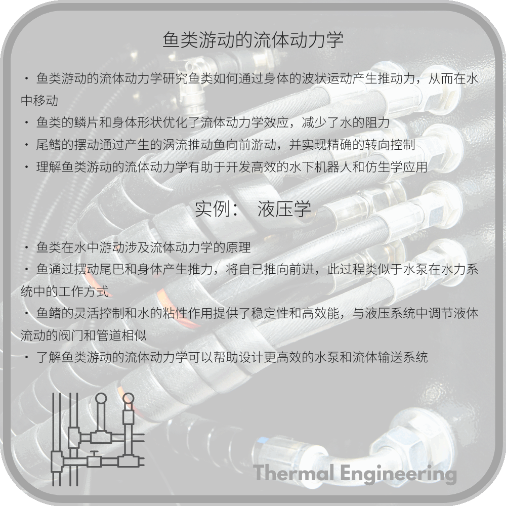 鱼类游动的流体动力学